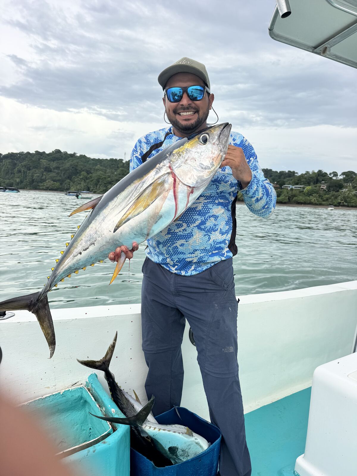 Yellowfin tuna caught offshore