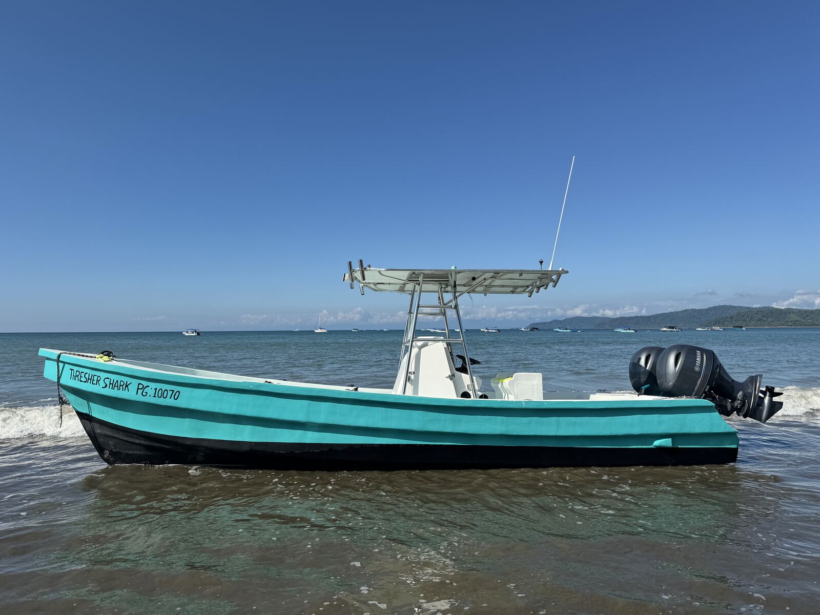 Thresher Shark PG-10070 anchored on the beach