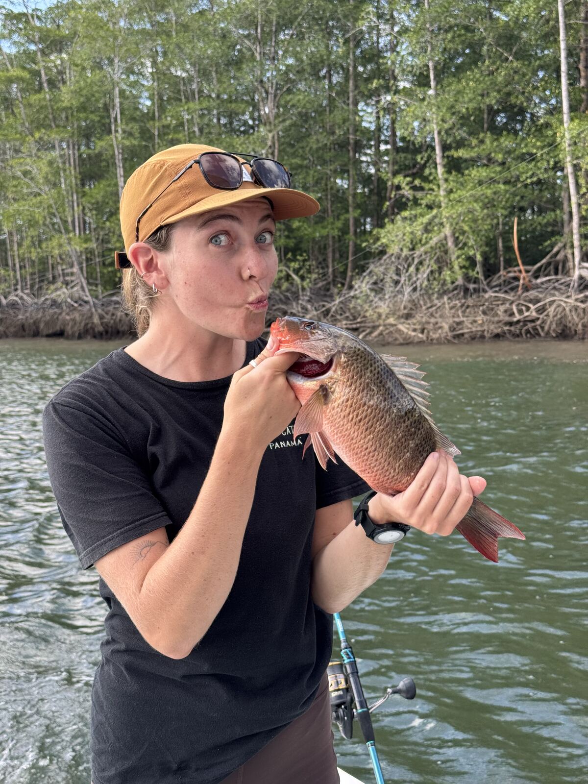 Snapper caught in the Sierpe River mangroves